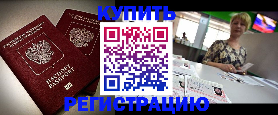 временная прописка в Щёлково